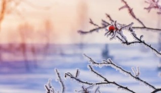 Морозы до -18 и резкое похолодание накроют Казахстан