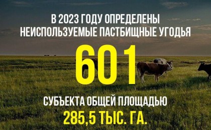 В 2023 году местными исполнительными органами города Конаев и районов определены неиспользуемые пастбищные угодья 601 субъекта общей площадью 285,5 тыс. га