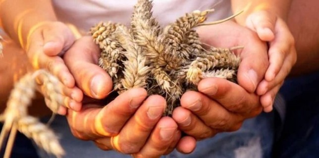 Повлияет ли блокада Ормузского пролива на цены в Казахстане: ответ Минсельхоза