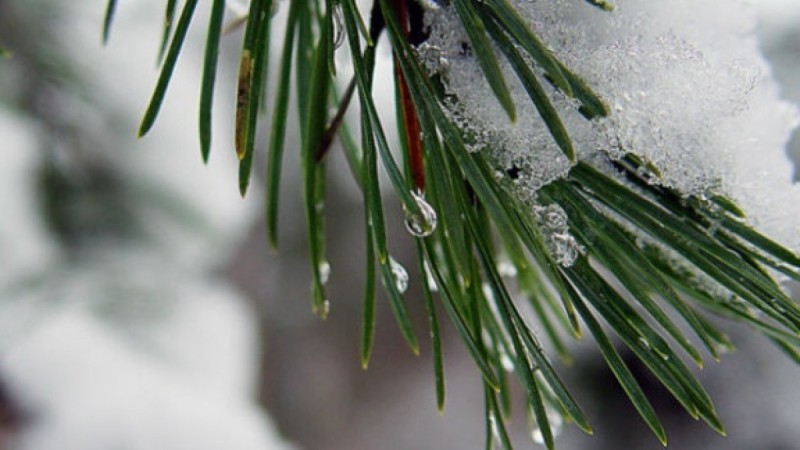 Штормовое предупреждение объявлено в 15 областях Казахстана