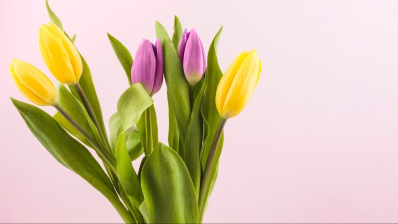 Почти полмесяца отдыха: выходные в марте 2026 года