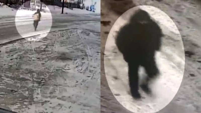 Караганда: кража с ущербом 10 млн тенге