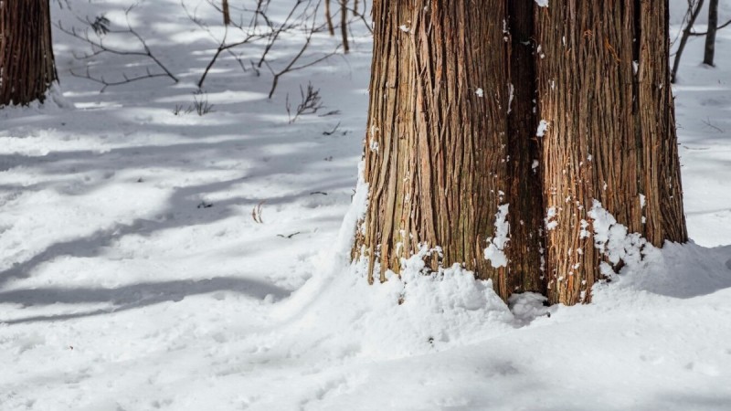 Прогноз погоды в Казахстане на 18 февраля 2026 года