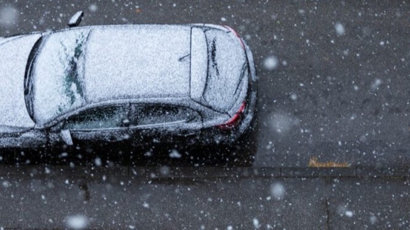 Смертельный наезд на пешеходном переходе: в Павлодарской области погиб ребёнок