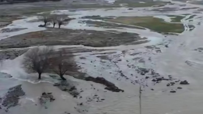 В Туркестанской области смыло дорогу: эвакуированы 29 человек (ВИДЕО)