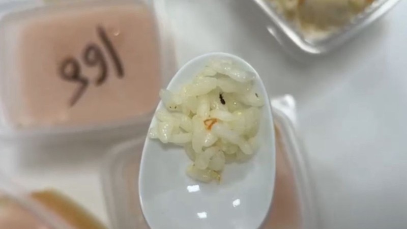 Еду с тараканами подали в больнице Караганды