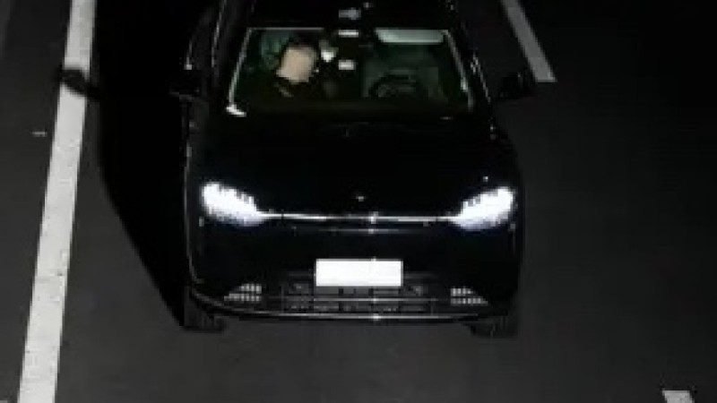 Пьяный водитель включил автопилот и уснул