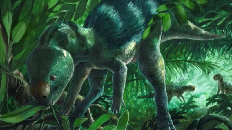 Учёные обнаружили динозавра размером с курицу: эта находка меняет историю