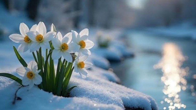 Прогноз погоды в Казахстане на 11 марта 2026 года