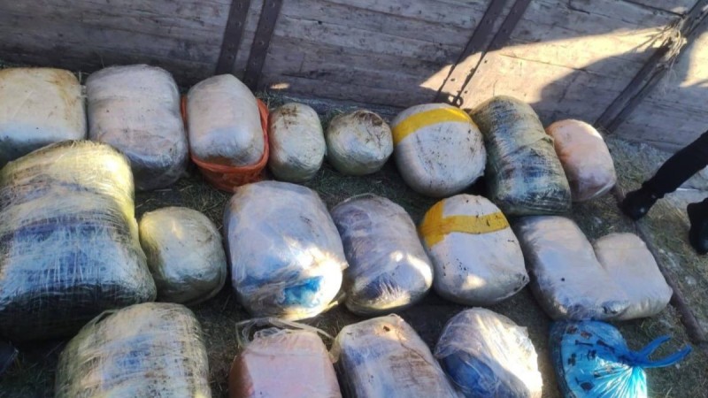 В Костанайской области изъяли более 200 кг наркотиков