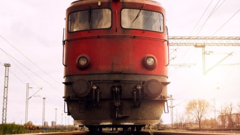 В Акмолинской области поезд сбил табун лошадей: пастуха оштрафовали