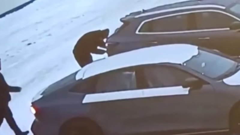 В Алматинской области из автосалона похитили автомобиль (ВИДЕО)