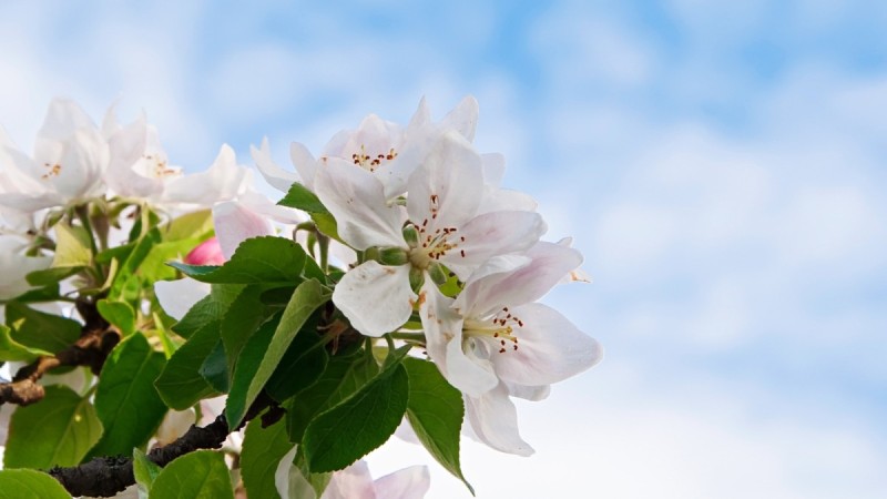 Прогноз погоды в Казахстане на 12 апреля 2026 года