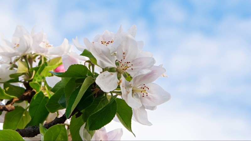 Прогноз погоды на 11 апреля в Казахстане