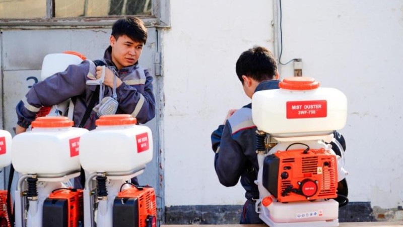 Как будут бороться с комарами и мошками в Астане