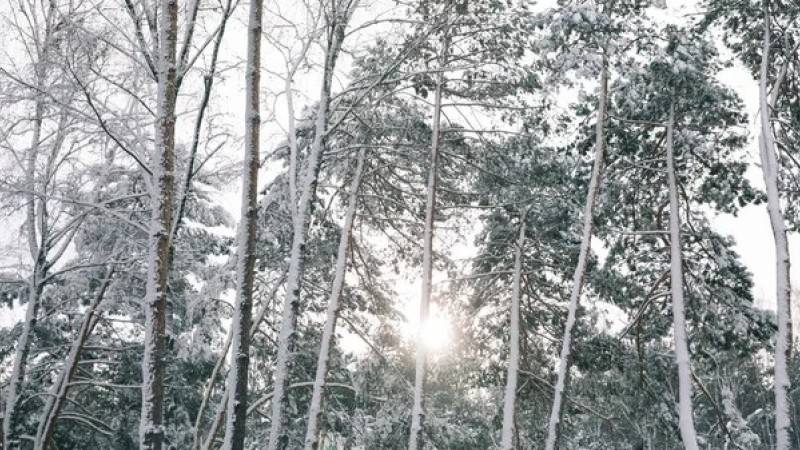 В Астане снова зима - прогноз погоды на ближайшие дни