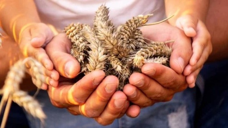 Повлияет ли блокада Ормузского пролива на цены в Казахстане: ответ Минсельхоза