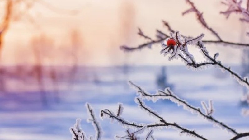 Морозы до -18 и резкое похолодание накроют Казахстан