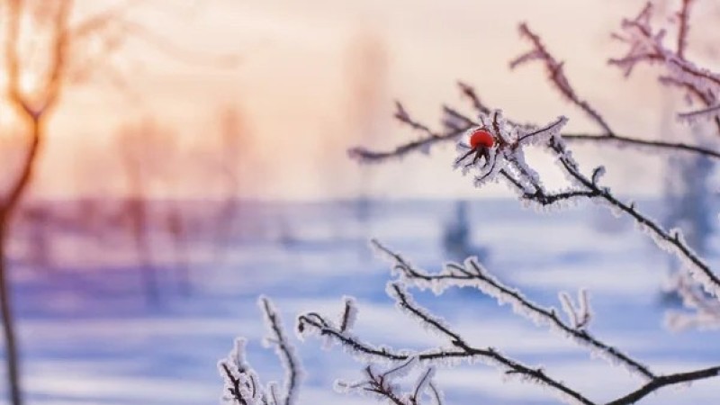 Прогноз погоды на 17 апреля в Казахстане