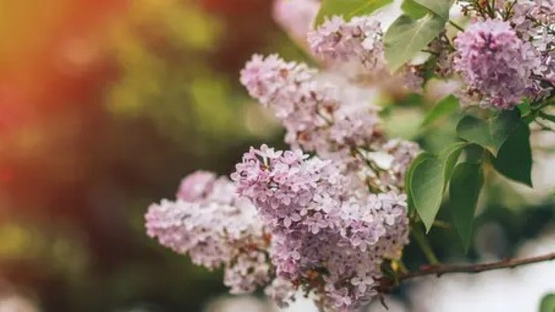 Прогноз погоды на 18 апреля в Казахстане