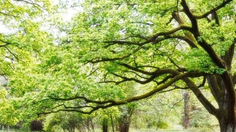 Прогноз погоды на 20 апреля в Казахстане