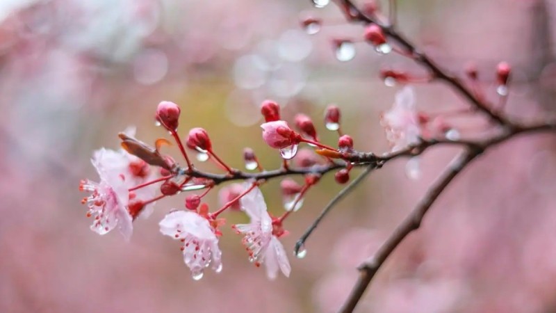 Прогноз погоды на 22 апреля в Казахстане