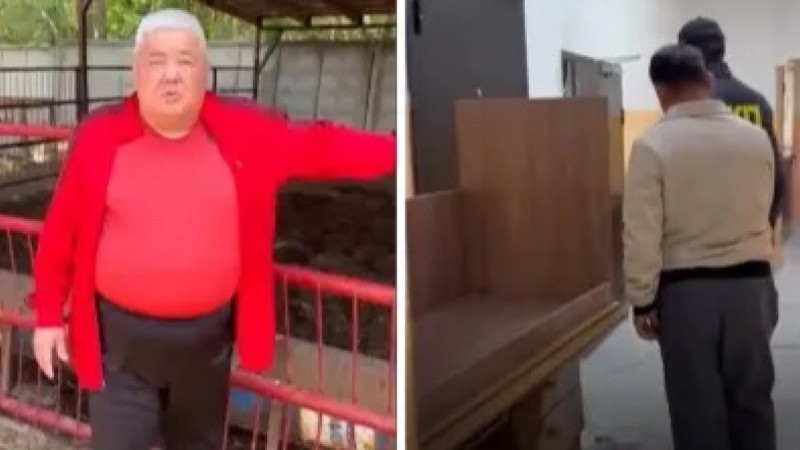 Доверяли 17 лет: пастух украл скот на 46 млн тенге в области Жетысу