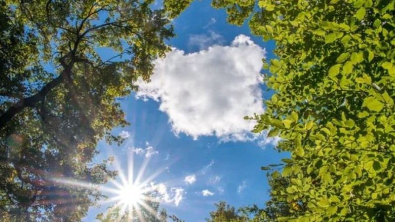 Прогноз погоды на 23 апреля в Казахстане