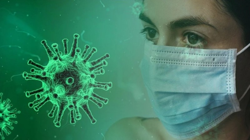 Новый вирус летучей мыши: возможна ли еще одна пандемия?