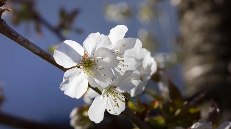 Прогноз погоды на 25 апреля в Казахстане