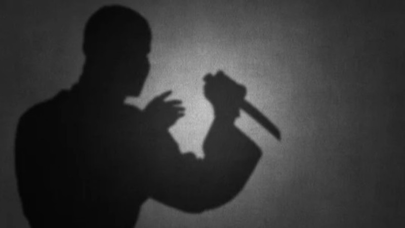 В Шымкенте мужчина с ножом напал на соседей: пострадавшие в реанимации