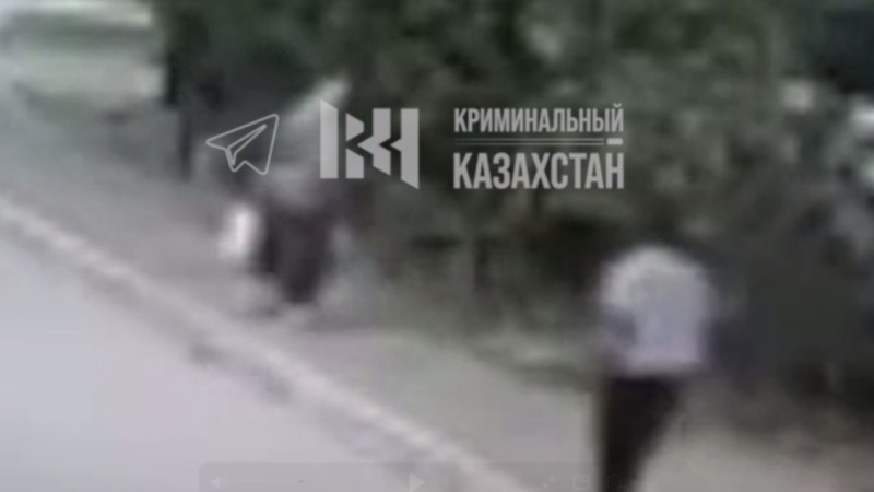 Мужчина попытался задушить женщину верёвкой в Алматинской области (ВИДЕО)