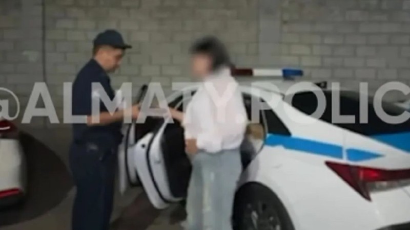 Три женщины устроили массовую драку посреди улицы в Алматы (ВИДЕО)