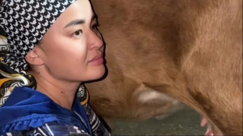 Молдир Муканова подоила корову в родном ауле и восхитила пользователей сети