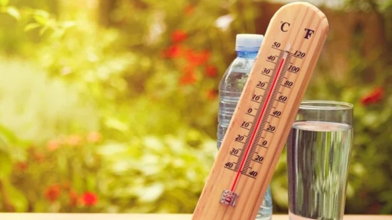 Погода в Казахстане 14 августа: жара до +43°C и дожди
