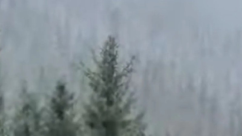 В Казахстане выпал снег: заснеженные горы сняли на видео