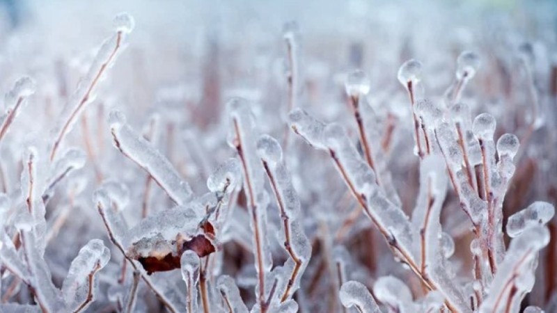 Прогноз погоды в Казахстане на 28 августа